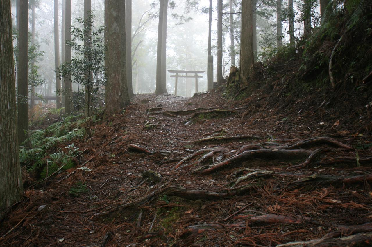 Watarase Onsen Hotel Yamayuri Hongú Exteriér fotografie